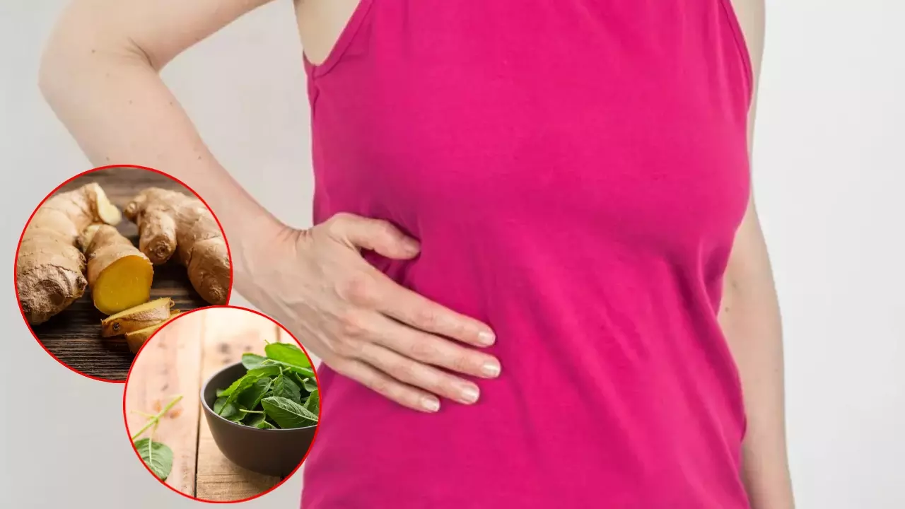 लिवर के वरदान हैं ये तीन चीजें, आज से ही शुरू कर दें इस्तेमाल