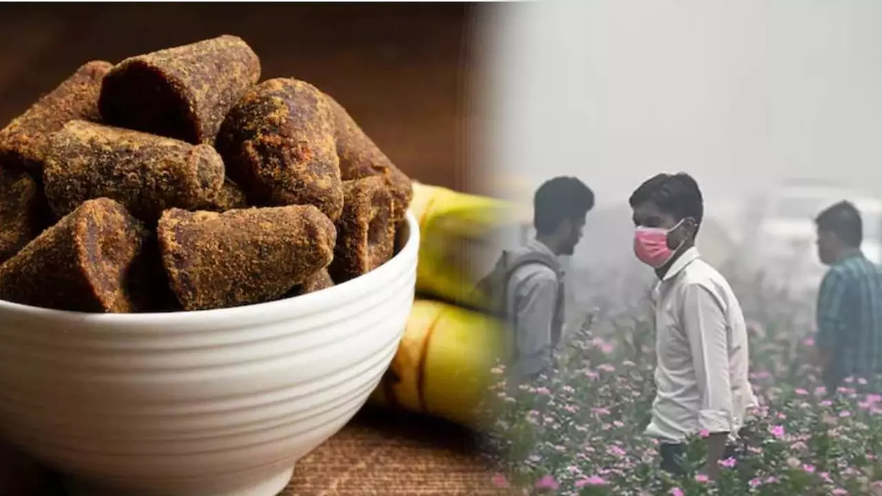 बढ़ते प्रदूषण में आपके फेफड़े को बचाएगा गुड़, ठंड में खाने से क्या मिलते हैं फायदे