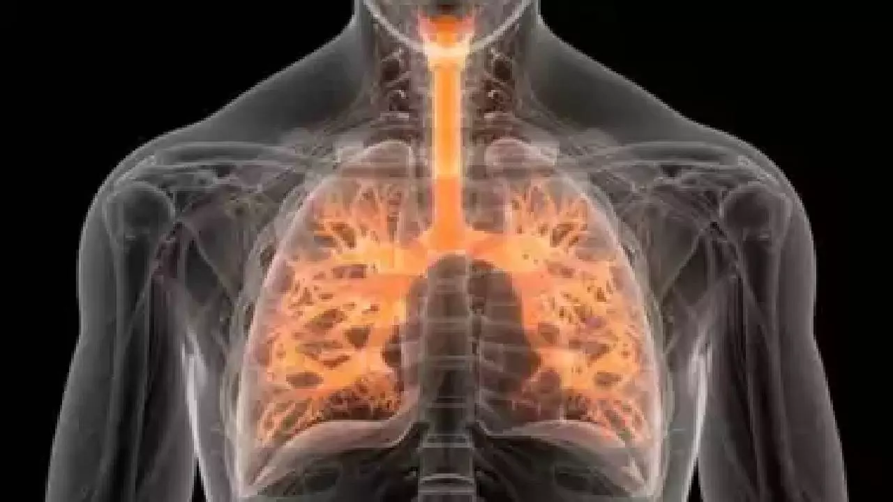 World COPD Day पर जानें क्या है सीओपीडी, जानिए इसके लक्षण और जोखिम