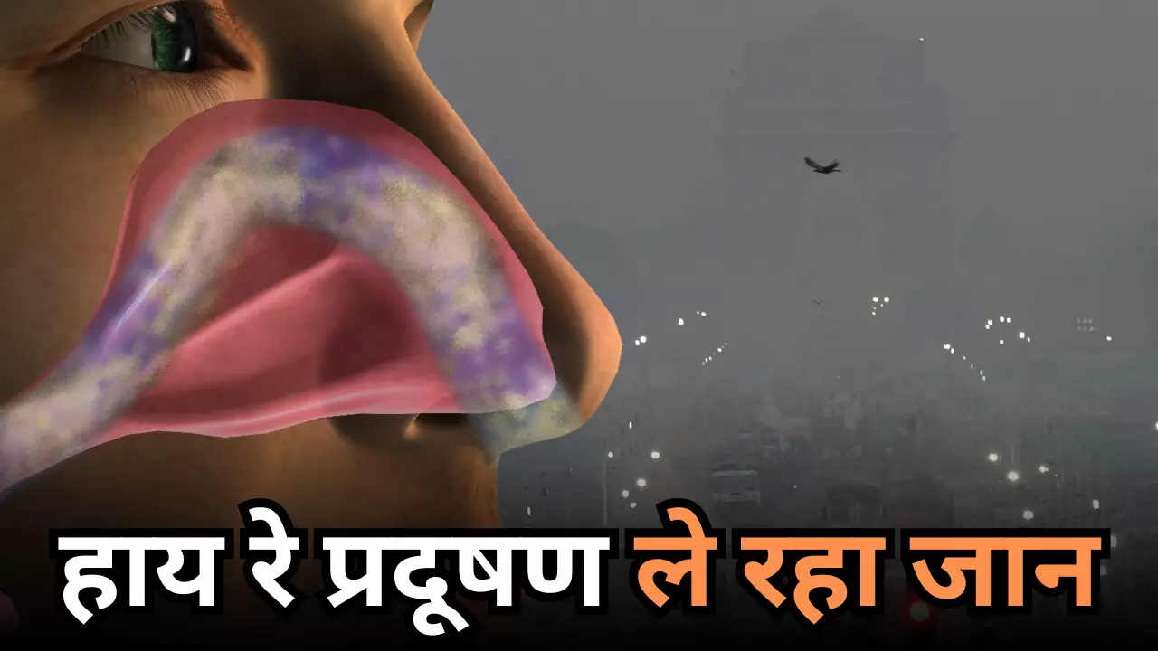 दिल्‍ली-NCR में नहीं सुधर रहे हालात, कैसे आपकी सांस नली को चोक कर रहा प्रदूषण; AIIMS ने दिखाया