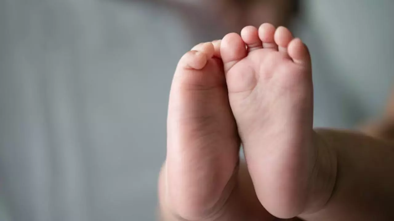 असम के कछार में दोगुना हुआ नवजात की मृत्यु का आंकड़ा, अब तक 158 की हुई मौत