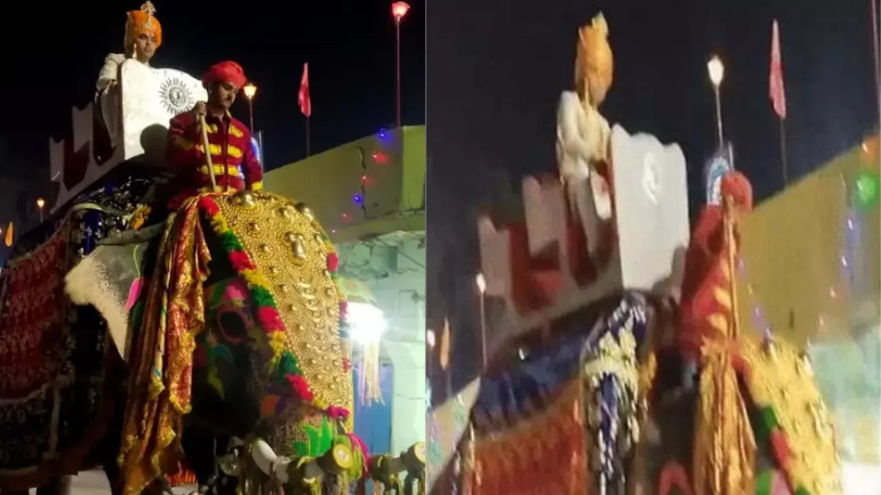 बिन दहेज मिला दुल्हा! 1 रुपये का शगुन और हाथी संग बैंड-बाजा-बारात, देखें VIDEO