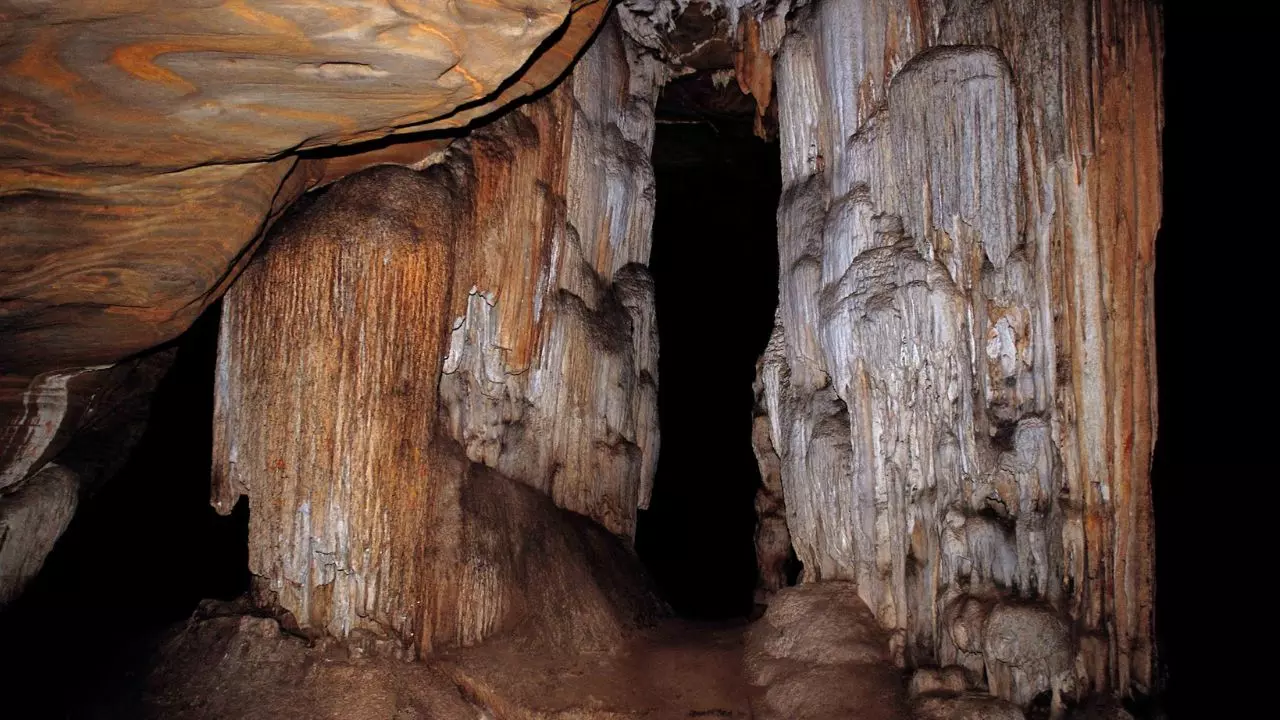 अंधी मछलियों की रहस्यमयी गुफा: छत्तीसगढ़ के अनोखे टूरिस्ट स्पॉट की खोज, गूंजती हैं अजीब आवाजें