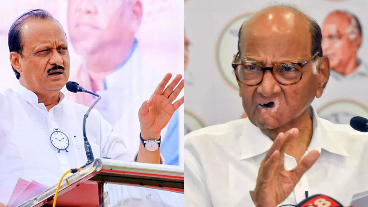 भतीजे ने पहले पार्टी पर किया कब्जा, फिर चुनाव में भी दे दी मात; अब क्या करेंगे महाराष्ट्र के चाणक्य? भतीजे ने पहले पार्टी पर किया कब्जा, फिर चुनाव में भी दे दी मात; अब क्या करेंगे महाराष्ट्र के चाणक्य?