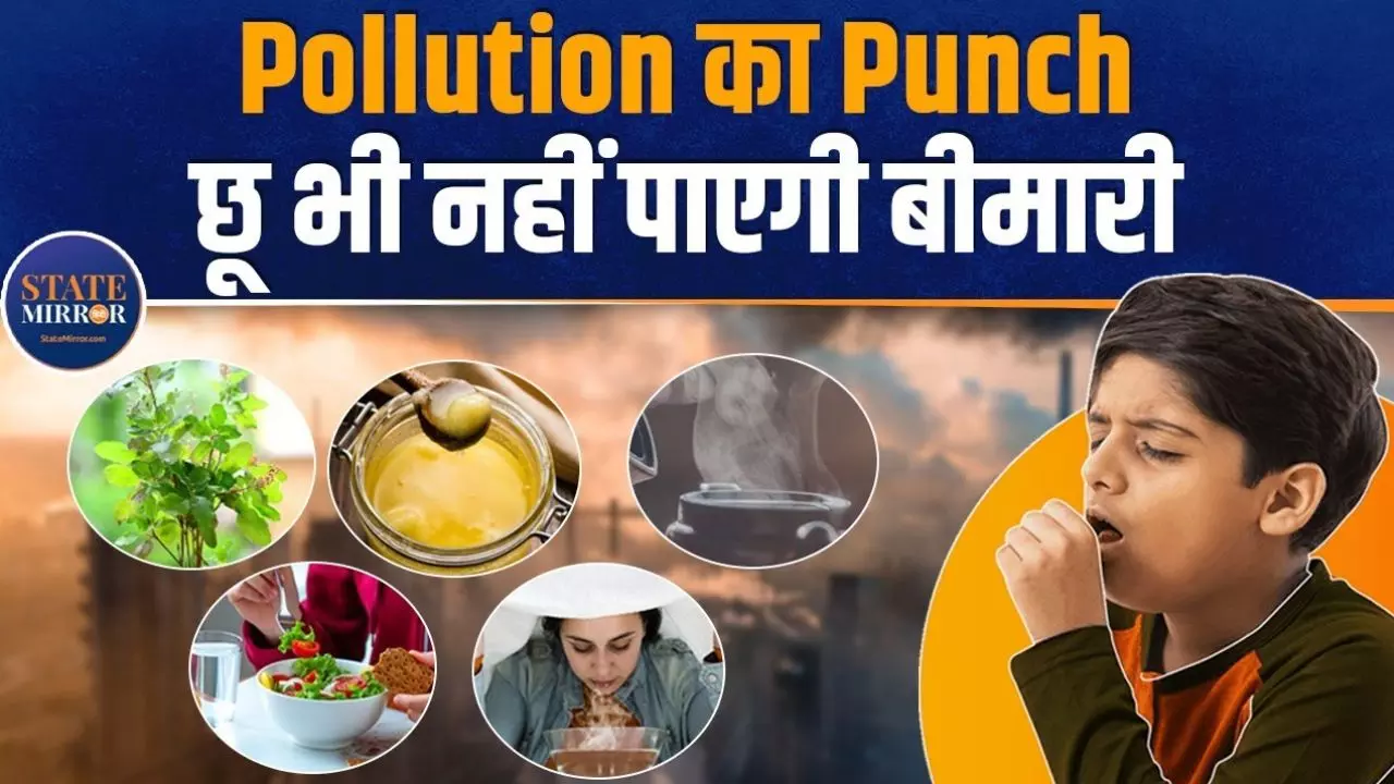 अब प्रदूषण नहीं करेगा परेशान! अपना ले ये उपाय, VIDEO