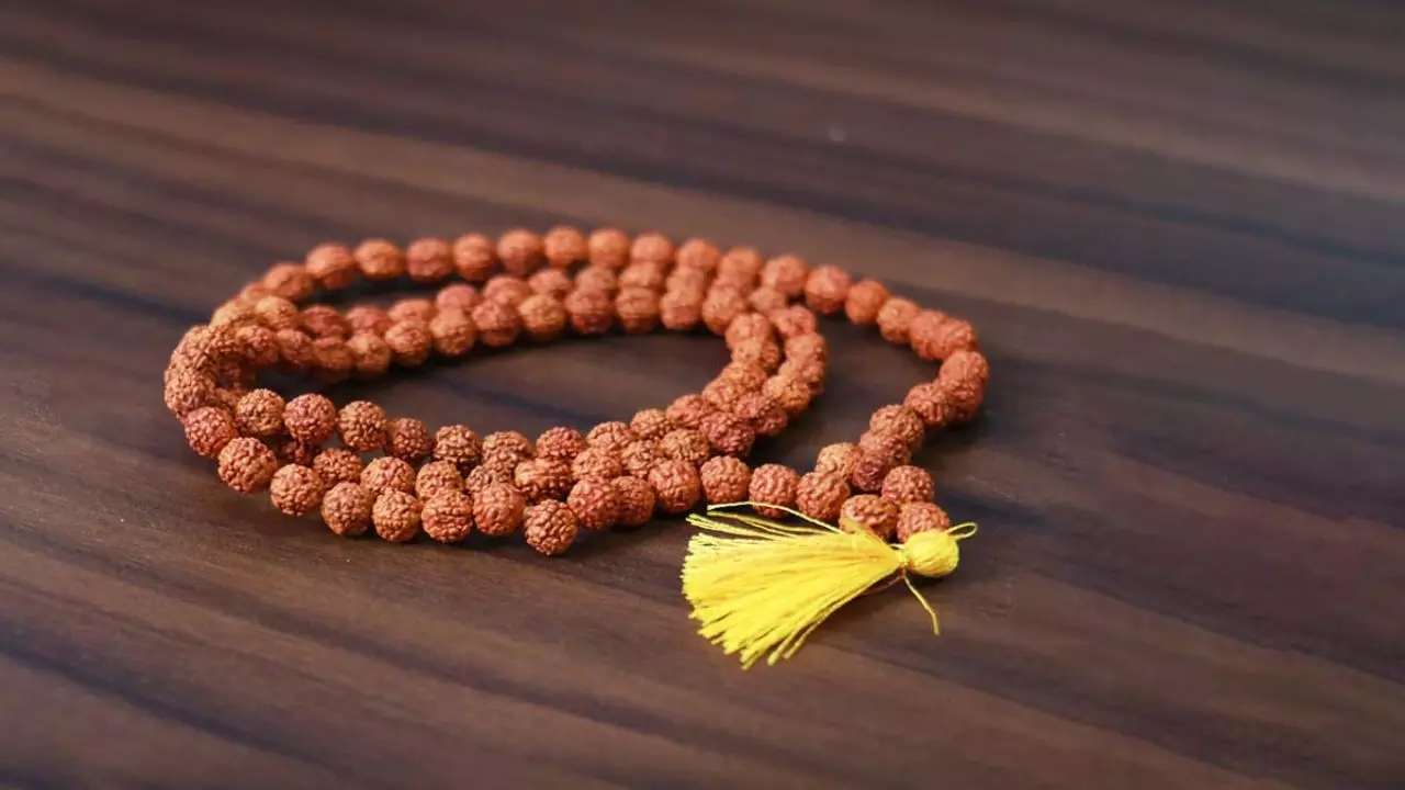 रुद्राक्ष पहनते समय इन नियमों का रखें ध्यान, वरना हो सकता है नुकसान! जानें 12 राशियों के लिए सही रुद्राक्ष