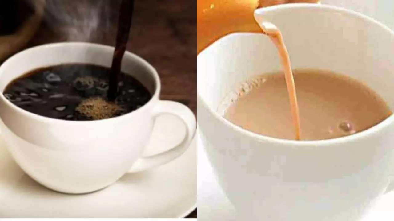 चाय या कॉफी सर्दियों में कौन ज्यादा बेहतर, जानें फायदे