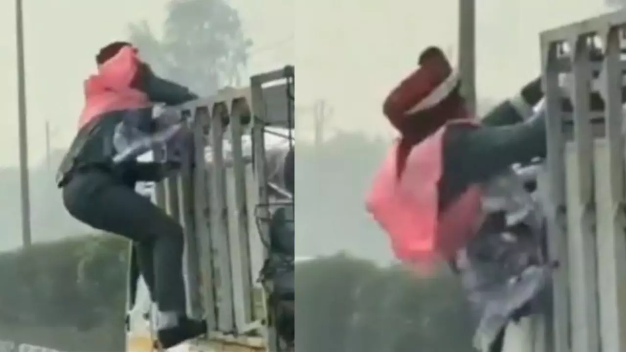 शादी से पैसों की माला लेकर भाग रहा था शख्स, फिर दूल्हे की हुई शानदार एंट्री! देखें VIDEO