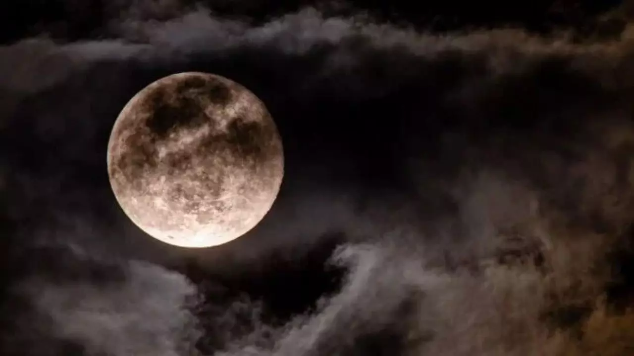 Darsh Amavasya 2024: पितरों को प्रसन्न करने के लिए करें ये खास उपाय, मिलेगा सुख-समृद्धि का आशीर्वाद