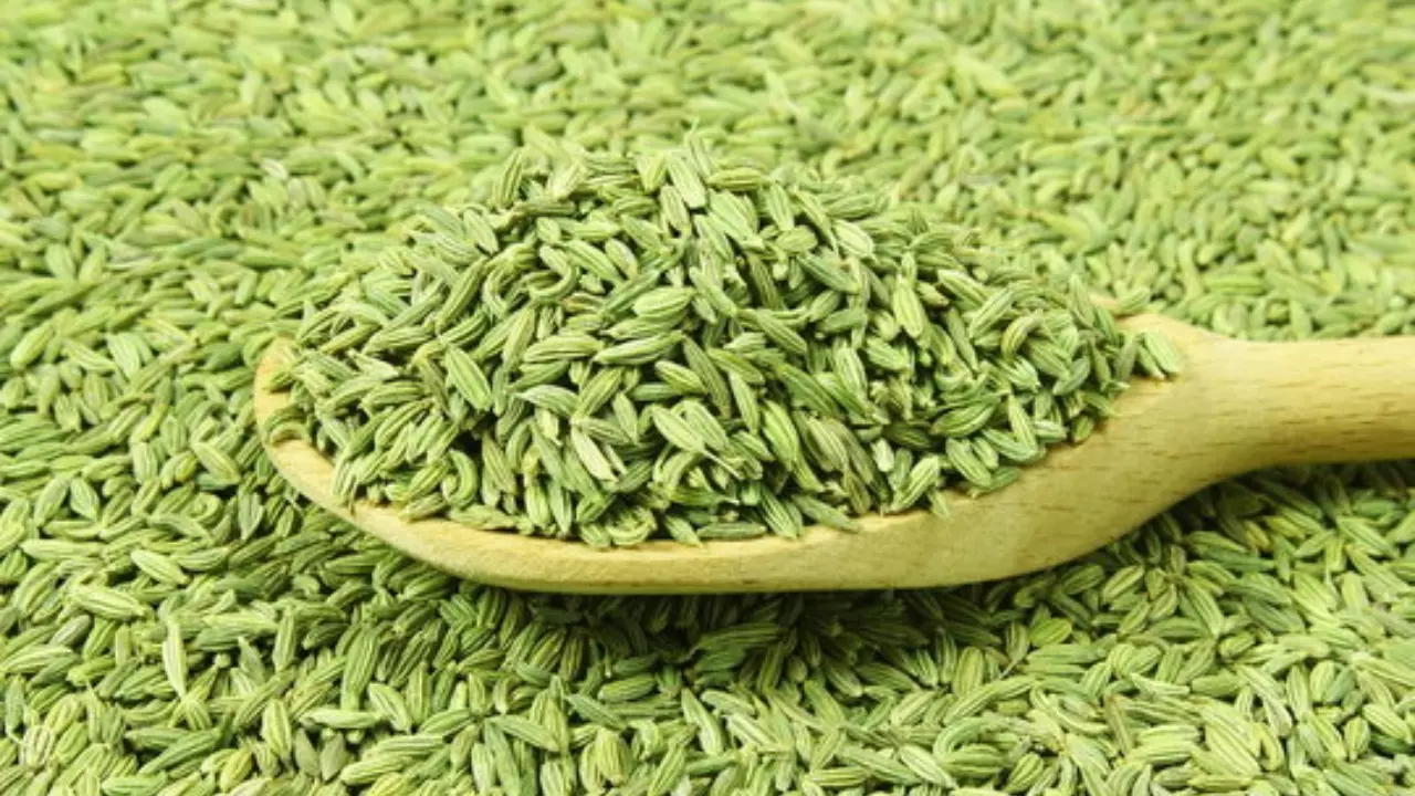 सौंफ का सेवन कब करें? जानिए सही समय और इसके फायदे