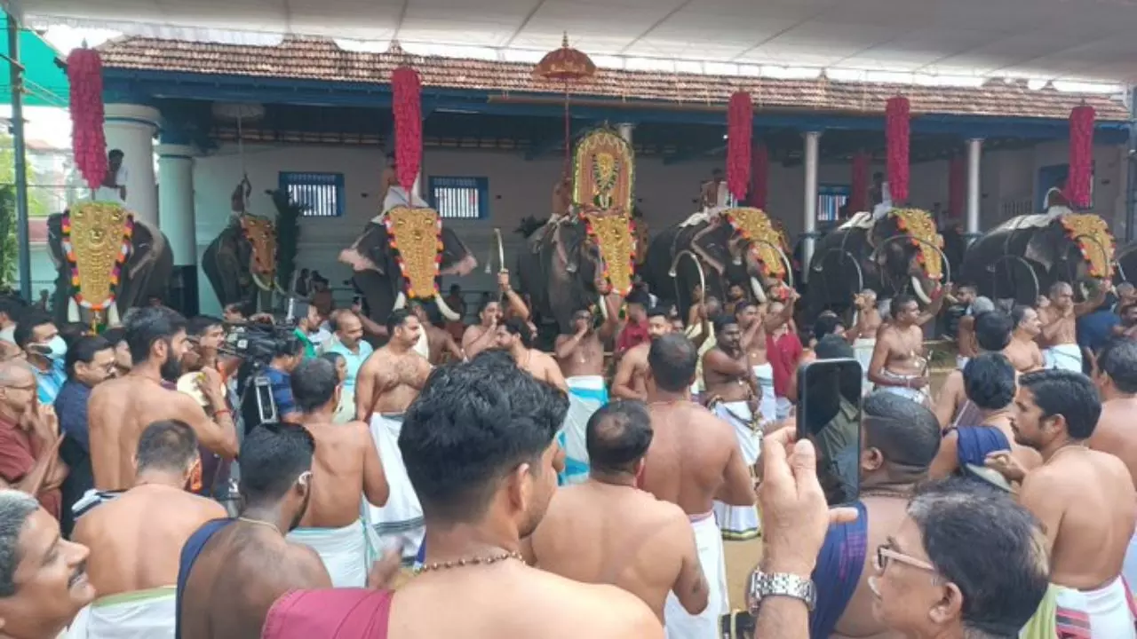 हाथियों की परेड का किसी ग्रंंथ में जिक्र नहीं, कमजोर नहीं हिंदू धर्म; केरल हाईकोर्ट की अहम टिप्पणी