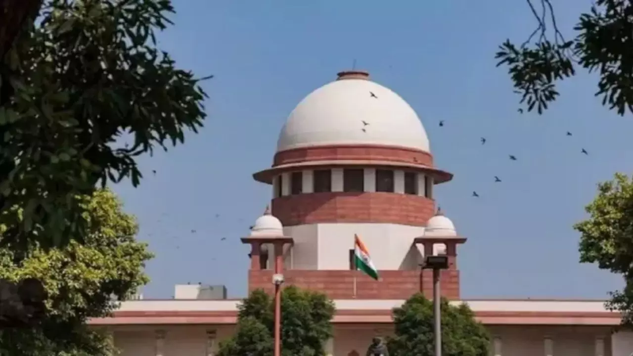 25 साल तक HC में चला मर्डर केस का मुकदमा, अब 104 वर्षीय बुजुर्ग को SC से क्यों मिली बेल? 25 साल तक HC में चला मर्डर केस का मुकदमा, अब 104 वर्षीय बुजुर्ग को SC से क्यों मिली बेल?