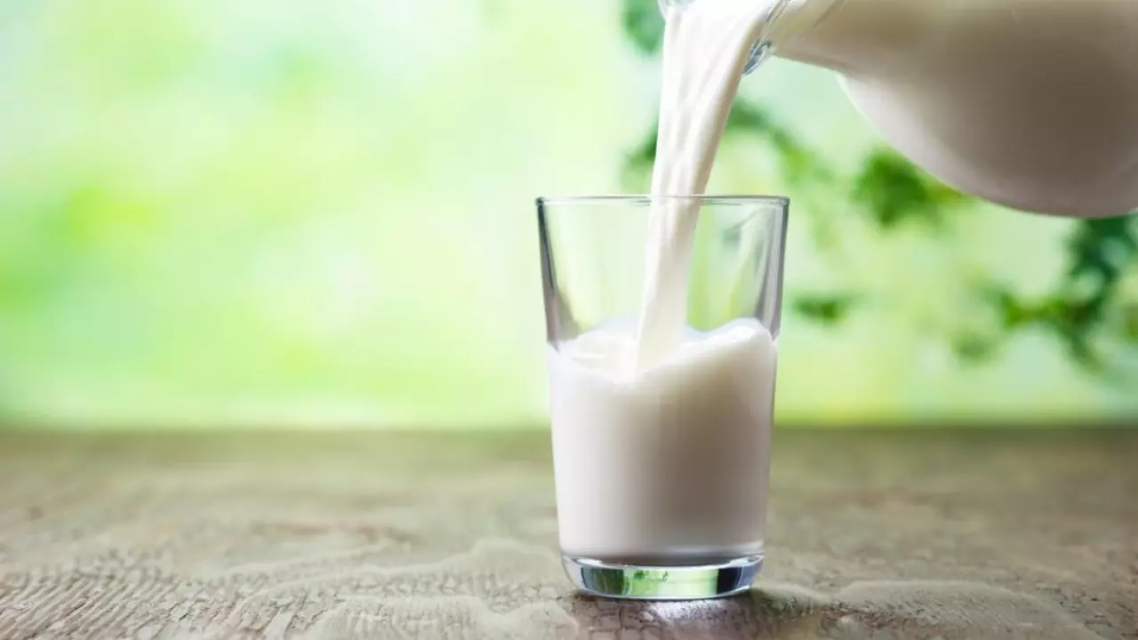 Milk Benefits: रोज दूध पीना क्यों जरूरी, जानें हेल्थ बेनेफिट्स