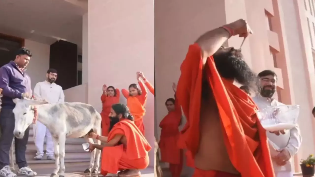 गाय, बकरी-भेड़, गधी के दूध के आगे फेल! बाबा रामदेव ने बताए इसे पीने के चमत्कारी फायदे; Video Viral