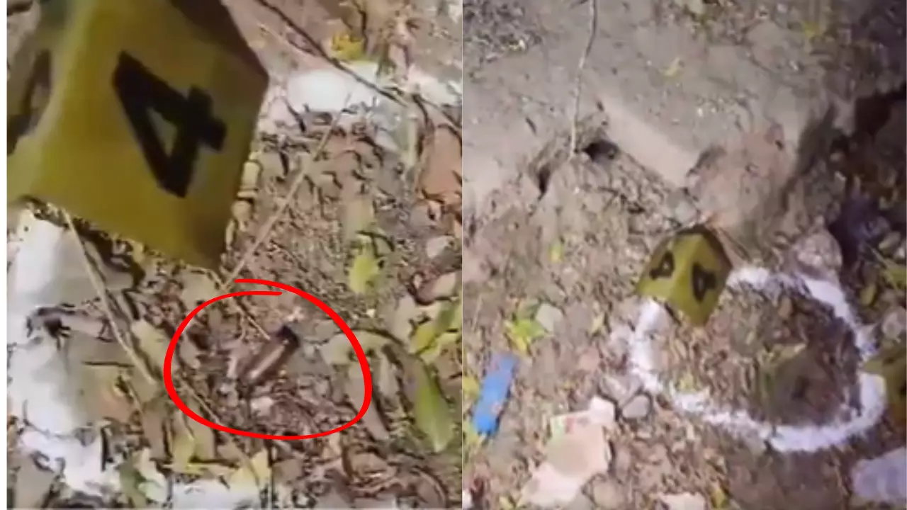 संभल में पाकिस्तान से जुड़े कारतूस मिले, पुलिस को मिले ये सबूत किस ओर कर रहे इशारा?