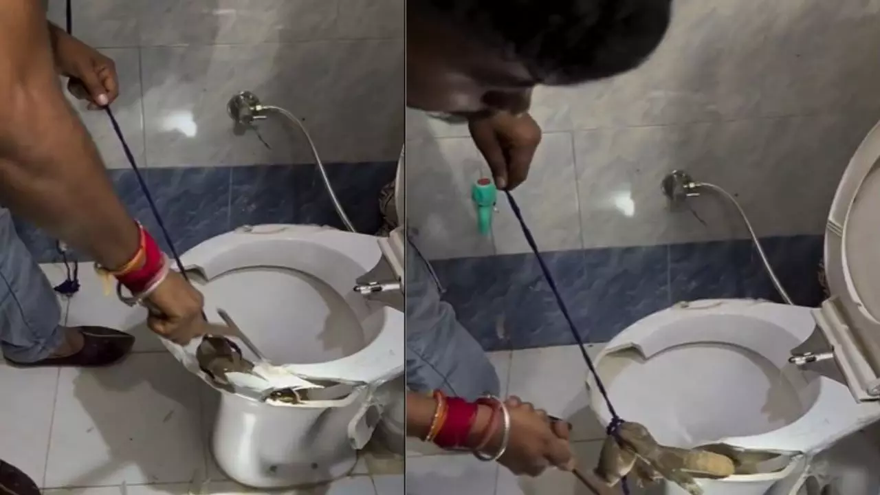 Latrine का सांप! कमोड के अंदर निकली बड़ी छिपकली की शख्स ने ऐसी बचाई जान, VIDEO वायरल