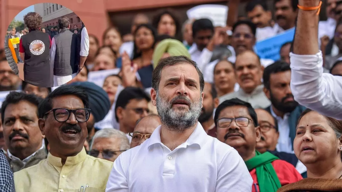 मोदी अडानी एक हैं..., विपक्ष ने संसद में किया अनोखा प्रदर्शन; राहुल गांधी ने PM मोदी पर लगाया गंभीर आरोप