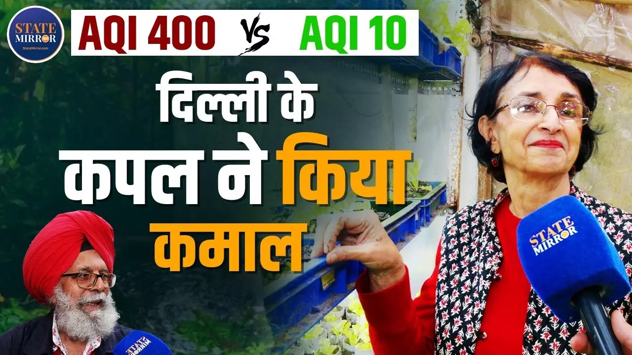 Delhi: पंजाबी कपल ने किया कमाल, न जहरीली हवा और न प्रदूषण; अजूबा है दिल्ली का ये घर