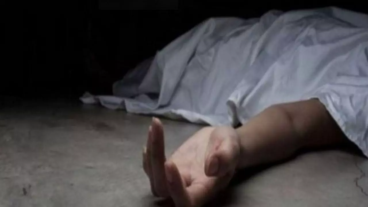 असम के कार्बी आंगलोंग में हाथी ने व्यक्ति को कुचला, हुई मौत