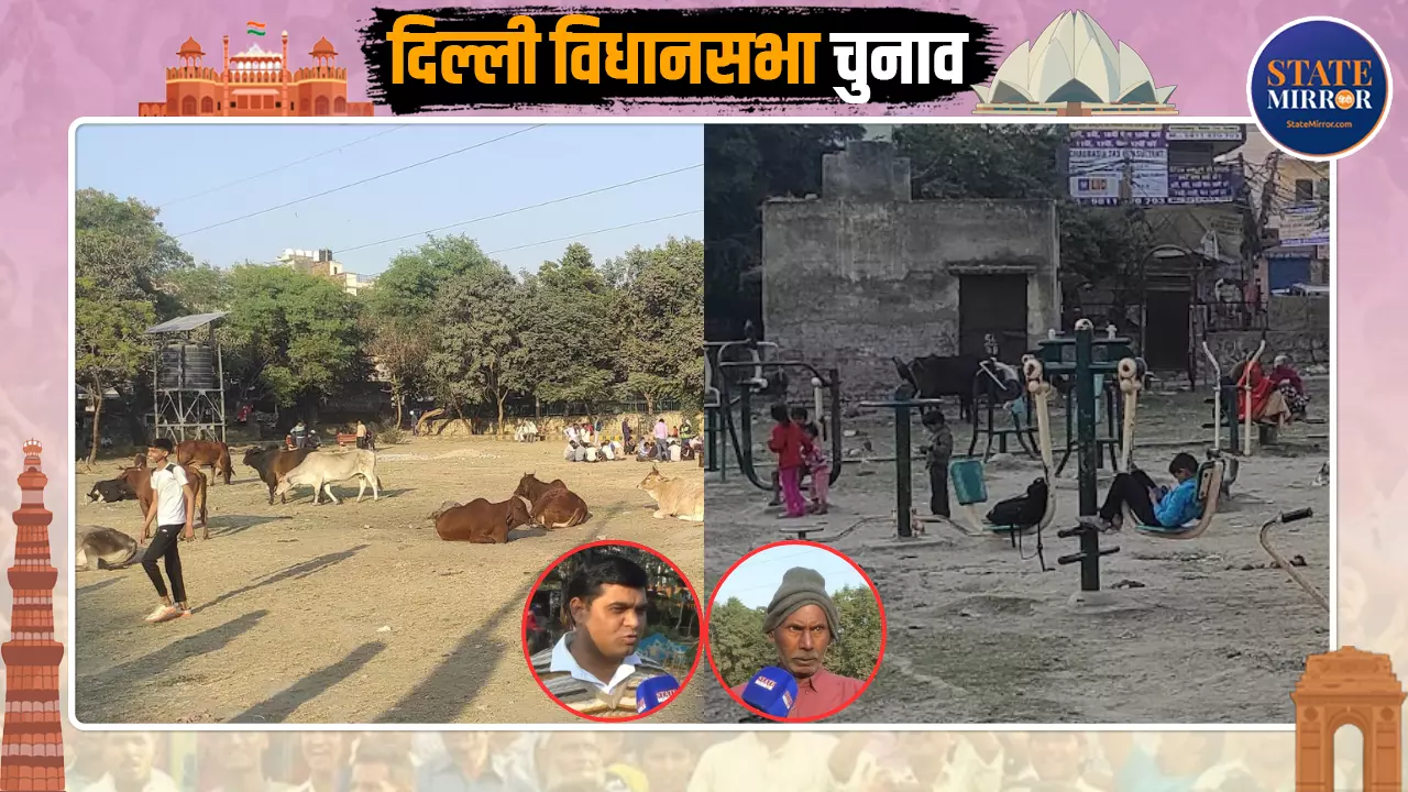 पार्कों में घूम रहे आवारा पशु, स्कूलों में शिक्षा नदारद; लोगों ने कहा- बिल्कुल सेफ नहीं दिल्ली पार्कों में घूम रहे आवारा पशु, स्कूलों में शिक्षा नदारद; लोगों ने कहा- बिल्कुल सेफ नहीं दिल्ली