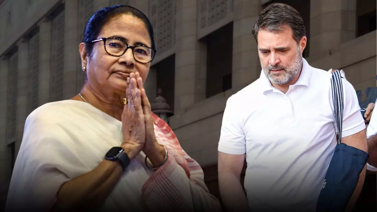 15 साल की उम्र में बनीं कांग्रेसी, आज दे रहीं चुनौती... 5 खूबियां जो ममता को राहुल से बनाती हैं बेहतर 15 साल की उम्र में बनीं कांग्रेसी, आज दे रहीं चुनौती... 5 खूबियां जो ममता को राहुल से बनाती हैं बेहतर
