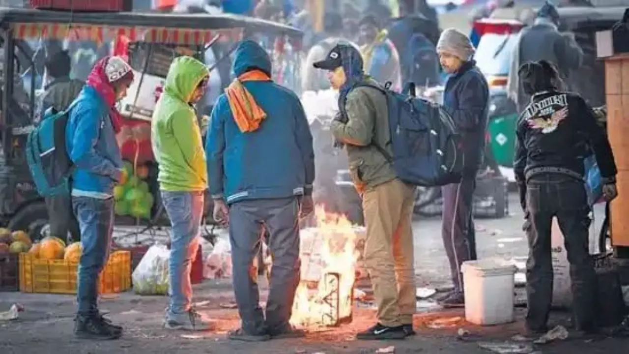 समय से पहले क्यों उत्तर भारत में आई शीत लहर? दोपहर गर्मी और रात में ठंड का होता है एहसास