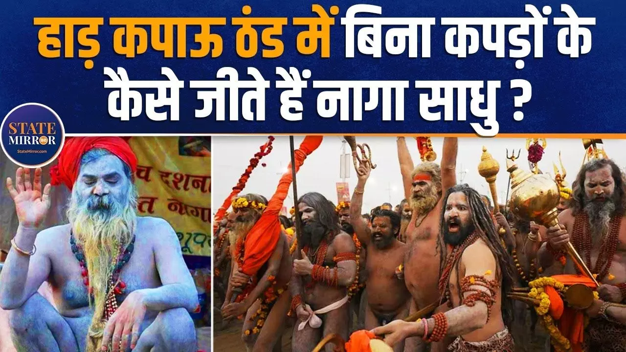 भस्म को ही मानते हैं वस्त्र, कैसे ठंड में बिना कपड़ों के रह लेते हैं नागा साधु? VIDEO