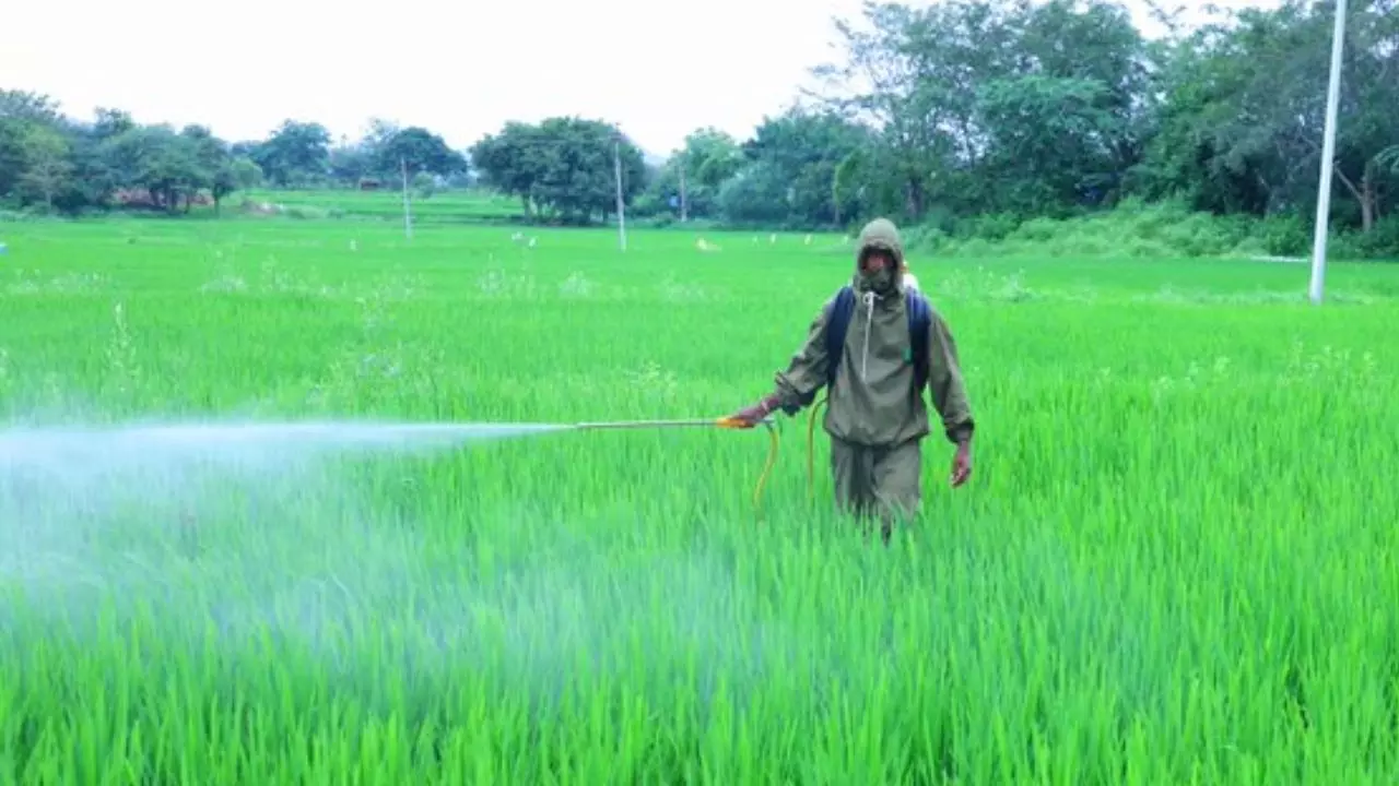 देश के अन्‍नदाताओं के लिए संजीवनी बनेगा किसान कवच, जानें हर डिटेल