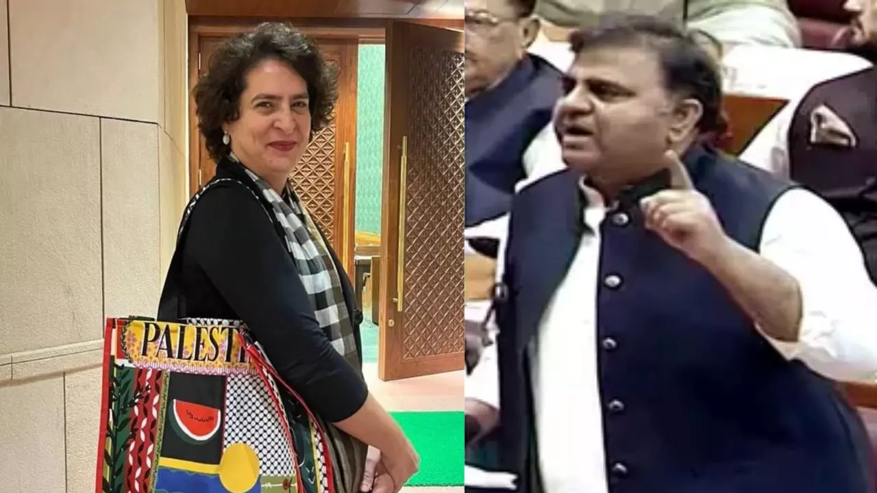 ये हमसे तो न हो पाएगा; फिलिस्तीन बैग को लेकर पाकिस्तान के पूर्व मंत्री ने की प्रियंका की तारीफ
