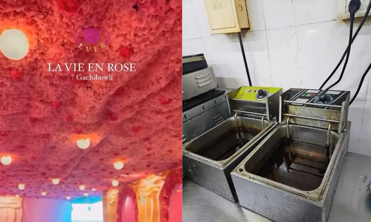 मशहूर कैफे के अंदर की सच्चाई उड़ा देगी होश, कंटेंट क्रिएटर ने किया बड़ा खुलासा,Video वायरल