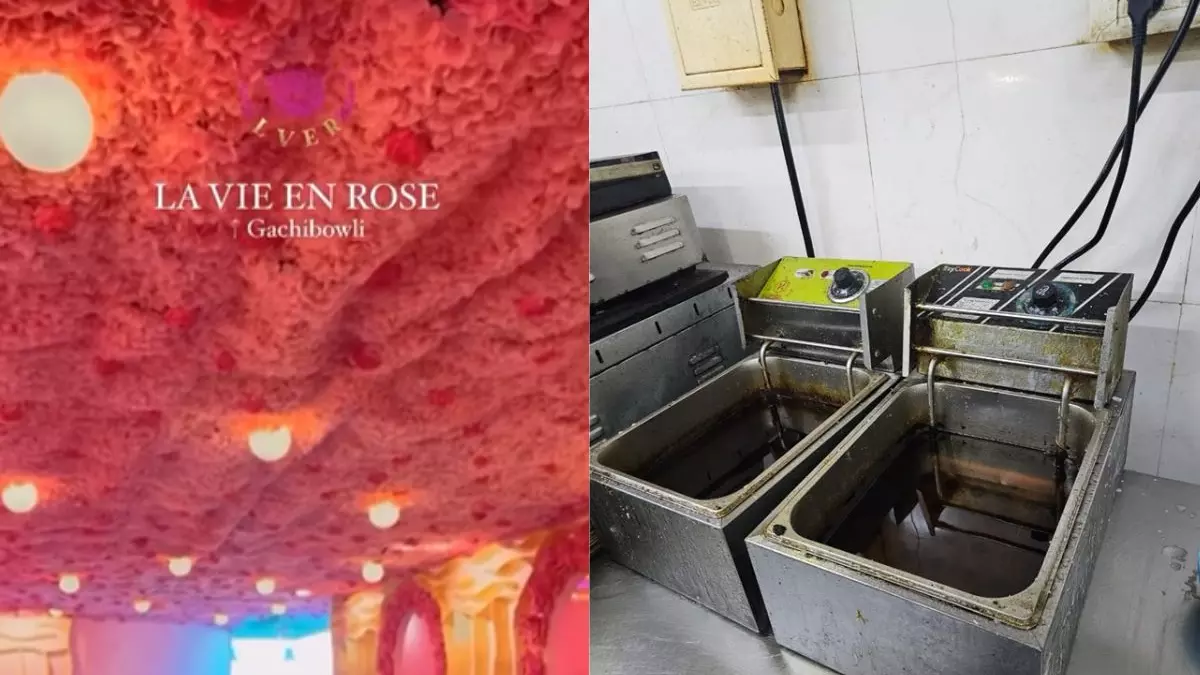 मशहूर कैफे के अंदर की सच्चाई उड़ा देगी होश, कंटेंट क्रिएटर ने किया बड़ा खुलासा,Video वायरल