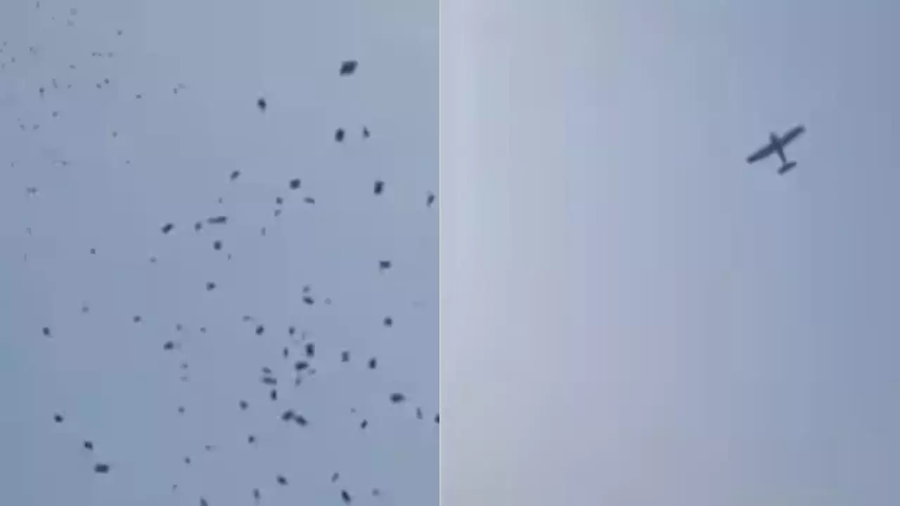 रील नहीं रियल! बेटा बना दुल्हा तो पिता ने बारिश कराई पैसों की, देखें Viral Video रील नहीं रियल! बेटा बना दुल्हा तो पिता ने बारिश कराई पैसों की, देखें Viral Video