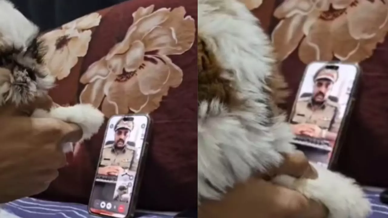 नकली पुलिस बनकर कर रहा था स्कैम, खुद ही हुआ शिकार; लोगों ने कहा- क्या स्कैमर बनेगा रे तू? नकली पुलिस बनकर कर रहा था स्कैम, खुद ही हुआ शिकार; लोगों ने कहा- क्या स्कैमर बनेगा रे तू?