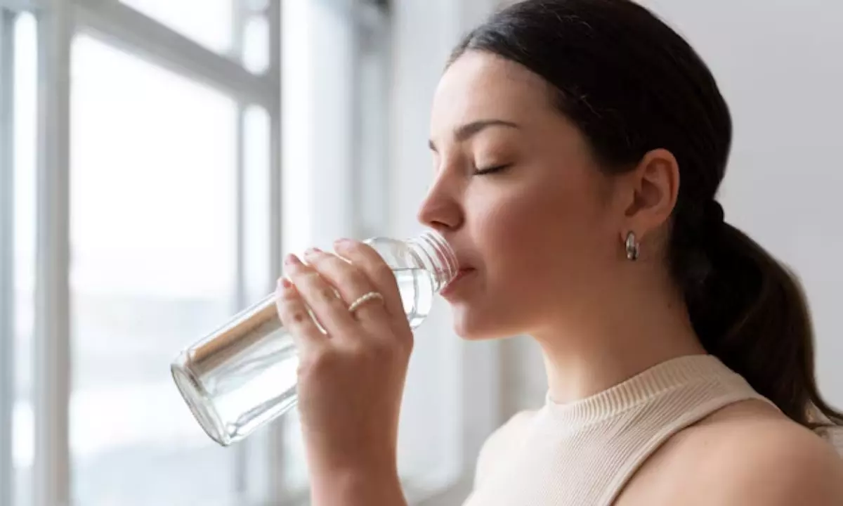 साल 2025 में कितनी पड़ेगी गर्मी? ग्रीनहाउस गैस को लेकर WMO की चेतावानी