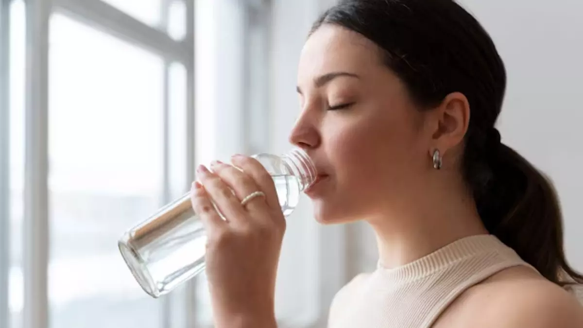 साल 2025 में कितनी पड़ेगी गर्मी? ग्रीनहाउस गैस को लेकर WMO की चेतावानी