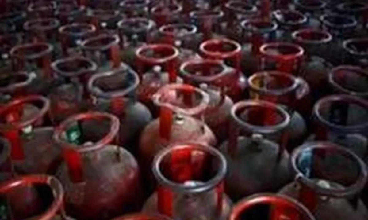 LPG Cylinder: नए साल में एलपीजी गैस सिलेंडर की कीमतों में राहत, जानें कितना हुआ सस्ता