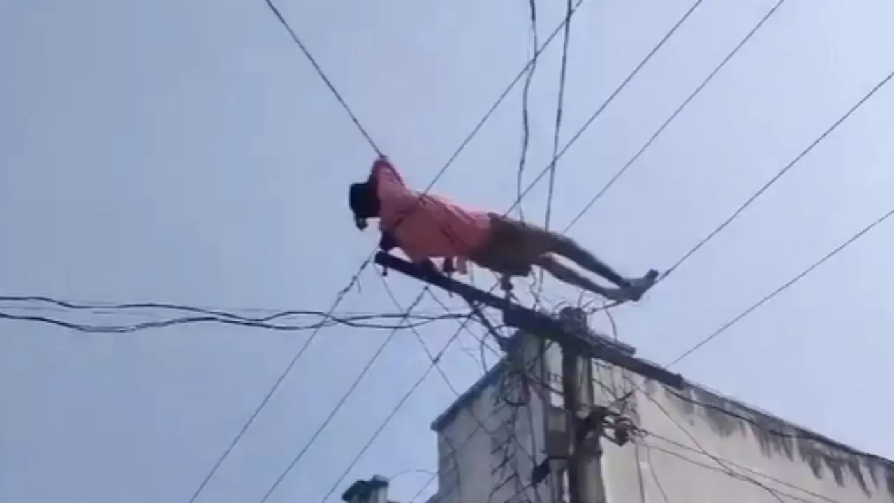 बिजली के खंभे पर चढ़ा शख्स, तारों पर जाकर किया आराम; सोशल मीडिया पर Video वायरल