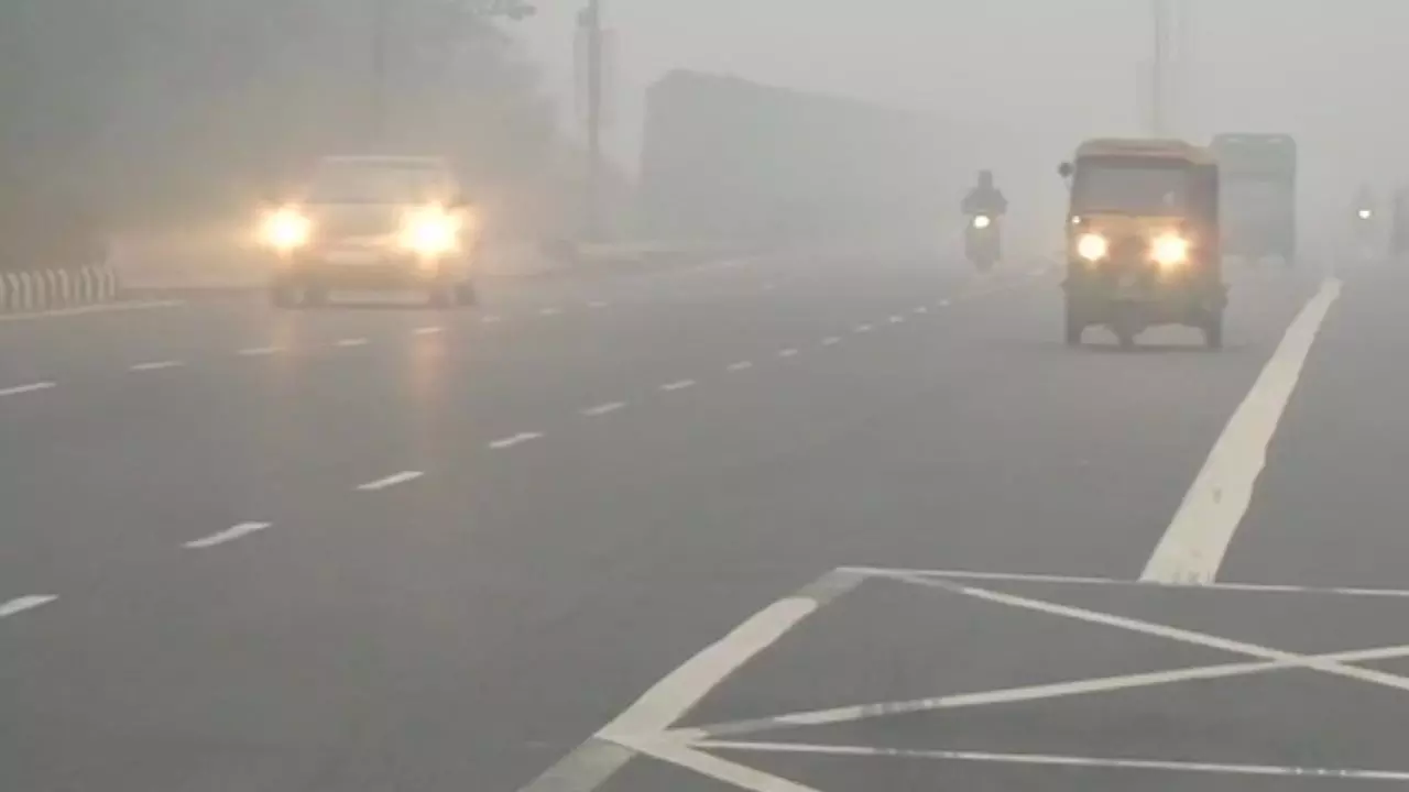 घने कोहरे में गाड़ी चलाना आपकी भी है मजबूरी? ये टिप्स और ट्रिक्स अपनाएं और करें सेफ ड्राइविंग