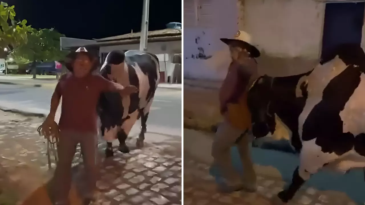 Viral Video : नशे में धुत था मालिक, बैल ने पहुंचाया घर तक, हैरान यूजर्स ने कहा- सबसे वफादार दोस्त