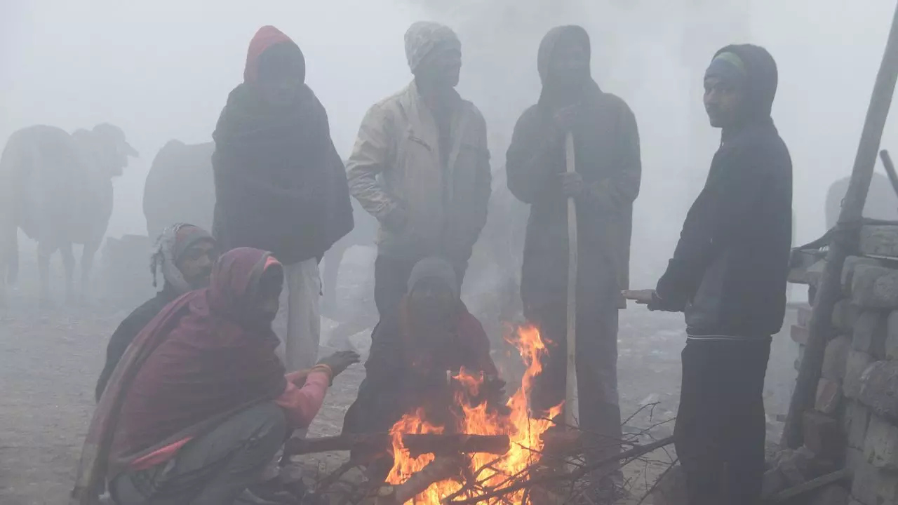 कोल्ड वेव से लोग परेशान, दिल्ली-NCR समेत उत्तर भारत में कोहरे और ठंड का प्रकोप कोल्ड वेव से लोग परेशान, दिल्ली-NCR समेत उत्तर भारत में कोहरे और ठंड का प्रकोप