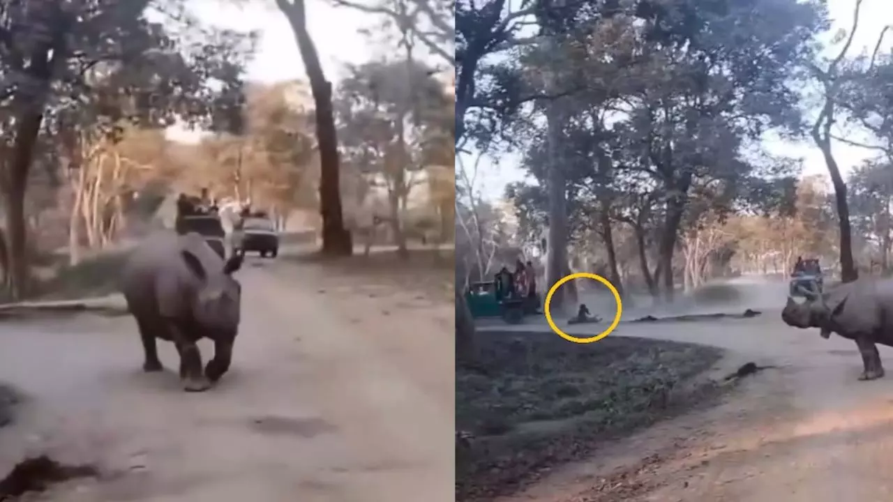 काजीरंगा के जंगल में गैंडे के सामने गिरी मां-बेटी, घटना का वीडियो सोशल मीडिया पर वायरल काजीरंगा के जंगल में गैंडे के सामने गिरी मां-बेटी, घटना का वीडियो सोशल मीडिया पर वायरल