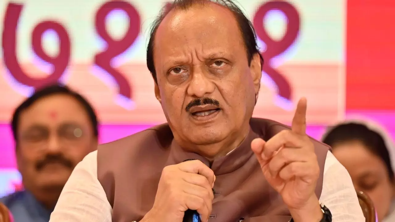 वोट दिया इसका मतलब ये नहीं कि मेरे मालिक बन गए, आखिर क्यों मतदाताओं पर भड़के अजित पवार