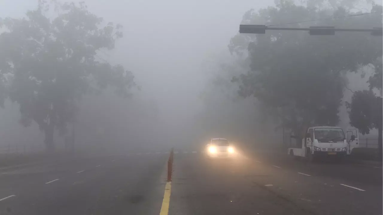हर साल इस समय घने कोहरे की मार क्‍यों झेलते हैं दिल्‍ली और आस-पास के शहर?
