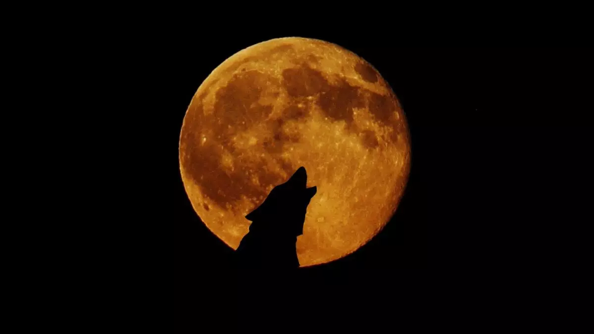 क्या होता है Wolf Moon, कब और कहां देख पाएंगे? क्या होता है Wolf Moon, कब और कहां देख पाएंगे?