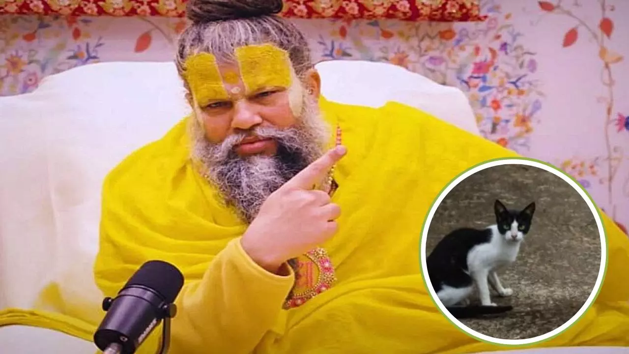 अगर बिल्ली रास्ता काट जाए तो क्या....सुन लीजिए प्रेमानंद महाराज का ये जवाब