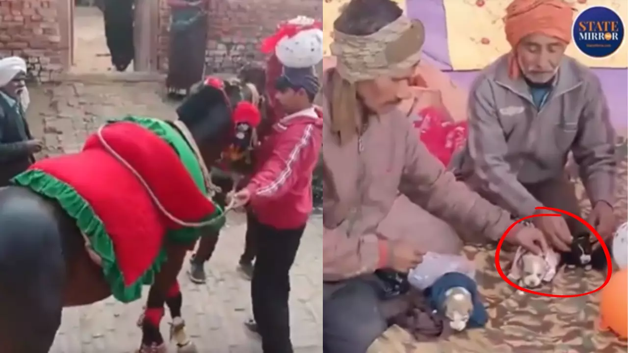 4 लाख खर्च कर कुत्ते के बच्चे की मनाई छठी , लोगों ने डीजे पर लगाए ठुमके, देखें VIRAL VIDEO