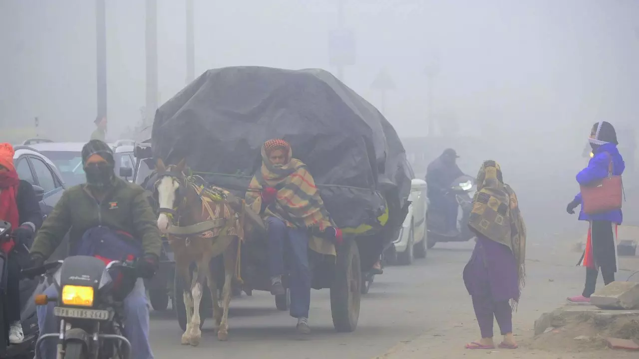 दिल्ली-NCR समेत ठंड से ठिठुरा उत्तर भारत, घने कोहरे से परेशान हुए लोग, तेज हुई सर्द हवाएं