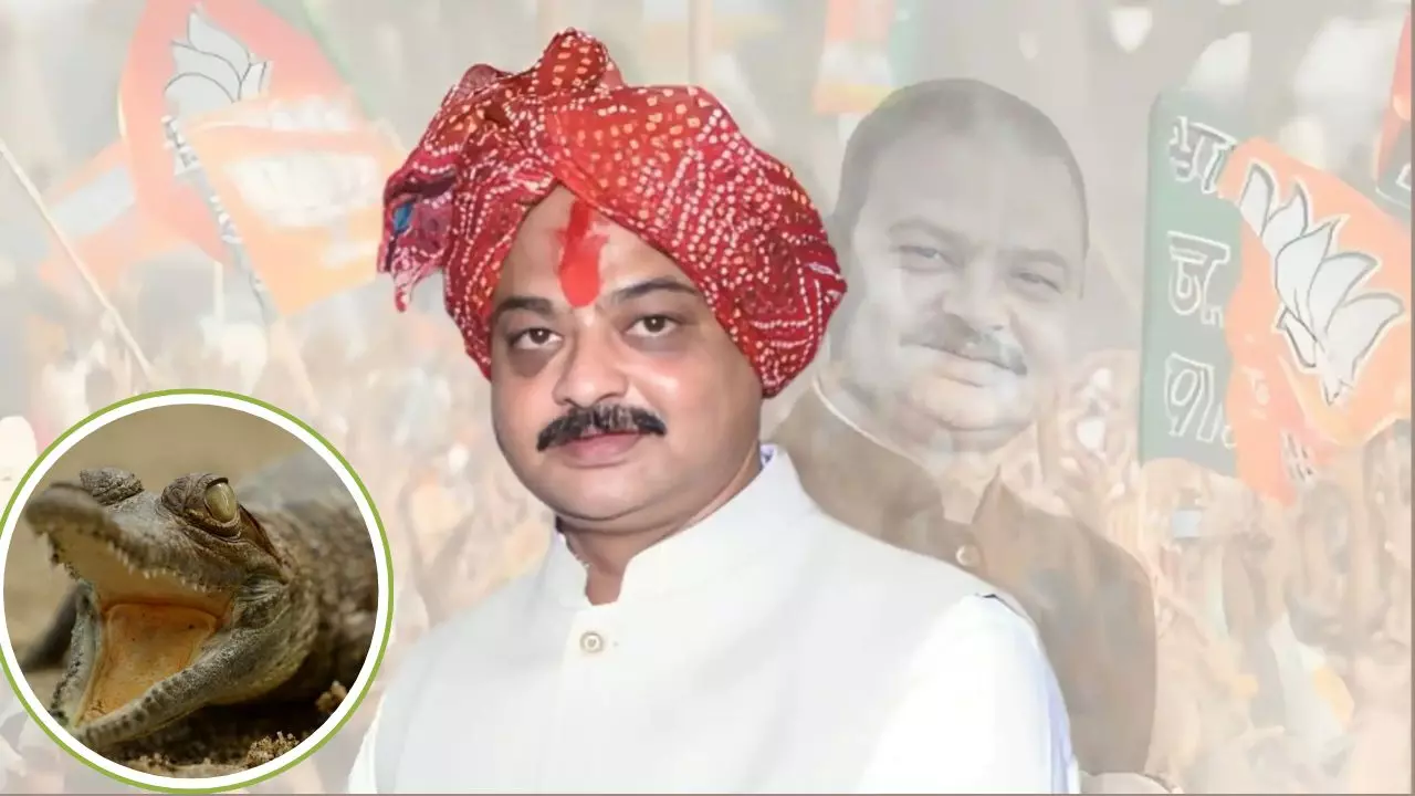 घर में मगरमच्छ पालने वाले कौन है भाजपा नेता हरवंश सिंह राठौर?  जानें छापेमारी के दौरान क्या- क्या मिला