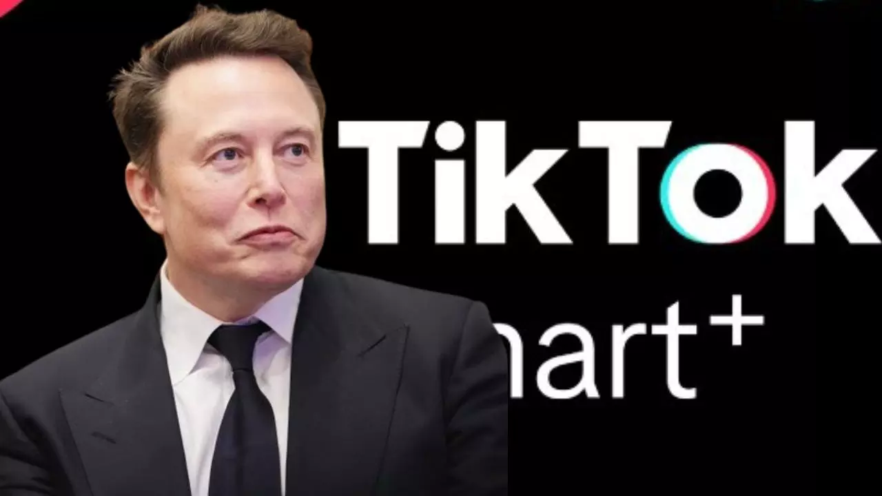 अब Elon Musk का होगा TikTok! कंपनी ने खुद दिया दावे का जवाब