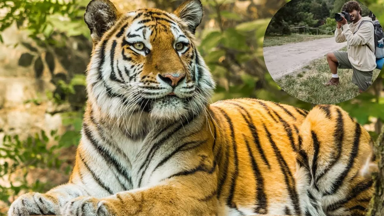 झारखंड के 4 जिलों में बनेंगे जंगल सफारी, सीएम के निर्देश पर पर्यटन विभाग ने तैयार किया प्रस्ताव
